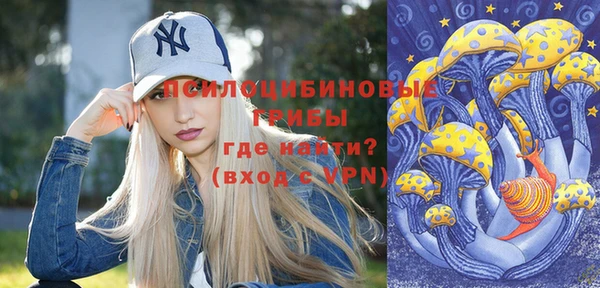 ешки Гусь-Хрустальный