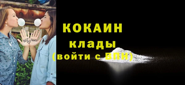 ешки Гусь-Хрустальный