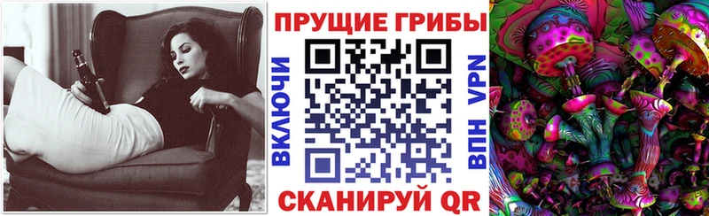 Псилоцибиновые грибы мицелий  Купить  Фрязино 